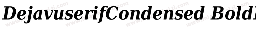 DejavuserifCondensed BoldItalic字体转换